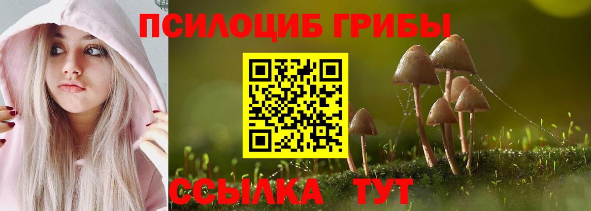 Луга  Псилоцибиновые грибы Magic Shrooms  Вход с VPN 